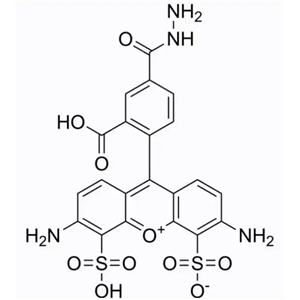 2500973-94-2，AF 488 hydrazide，生物成像与分子标记领域的重要试剂