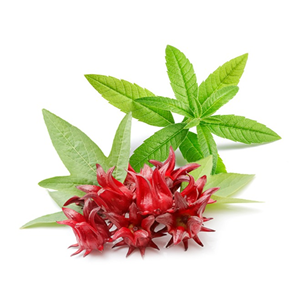 Metabolaid柠檬马鞭草味玫瑰茄粉,Metabolaid