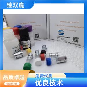 人转化生长因子激酶1(TAK1)ELISA试剂盒,Human TAK1 ELISA KIT