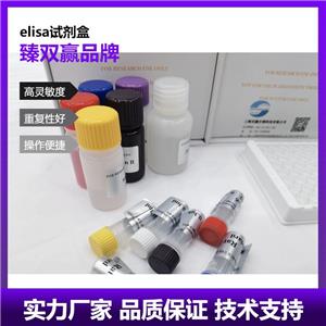 人T-框蛋白3(TBX3)ELISA试剂盒,Human TBX3 ELISA KIT