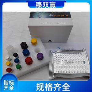 人组蛋白去乙酰化酶10(HDAC10)ELISA试剂盒,Human HDAC10 ELISA KIT