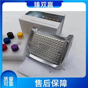 人肿瘤坏死因子α诱导蛋白8样分子2(TIPE2)ELISA试剂盒,Human TIPE2 ELISA KIT