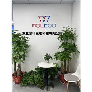 阿伐曲泊帕杂质118,Avatrombopag Impurity 118