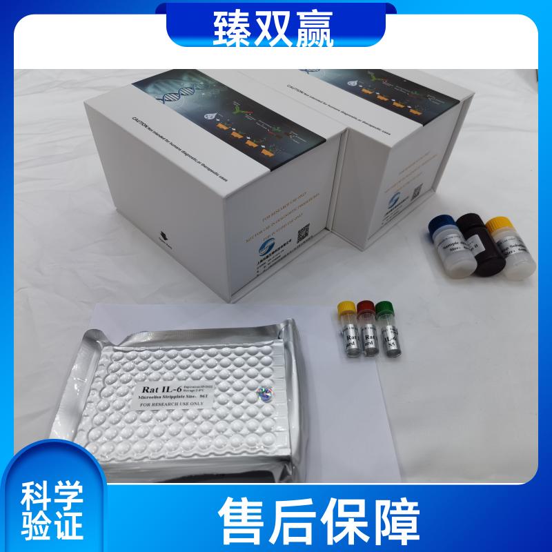 人肽基精氨酸脱亚氨酶Ⅲ(PADI3)ELISA试剂盒,PADI3 ELISA KIT