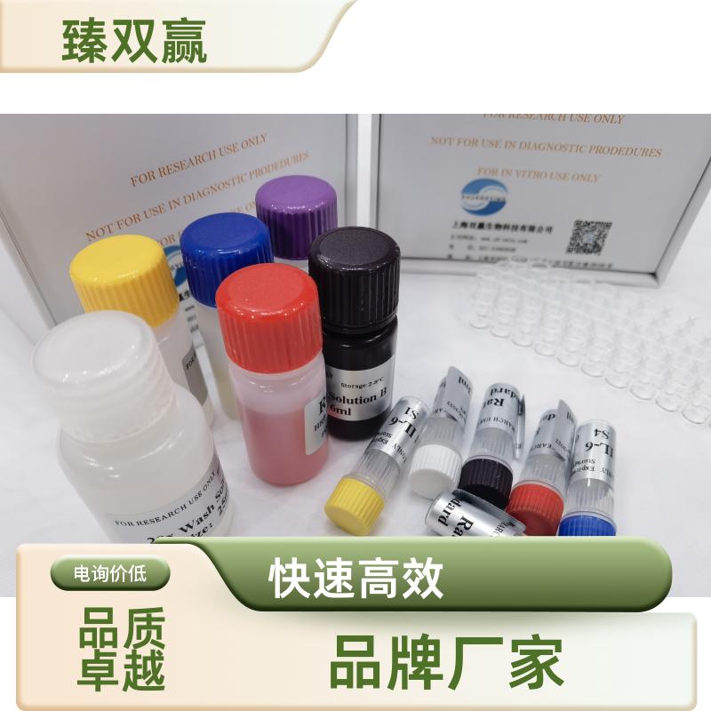 人肽基精氨酸脱亚氨酶Ⅵ(PADI6)ELISA试剂盒,Human PADI6 ELISA KIT