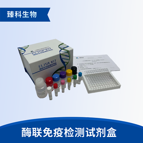 人CXC趋化因子配体12（CXCL12）检测试剂盒（ELISA法）