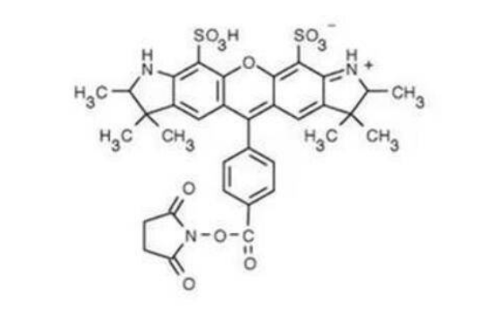 AF5 532酯,AF532 NHS ester