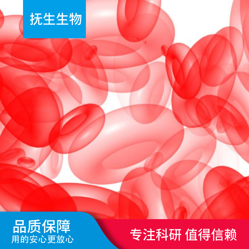 昆虫细胞；BGE1-L15B,BGE1-L15B