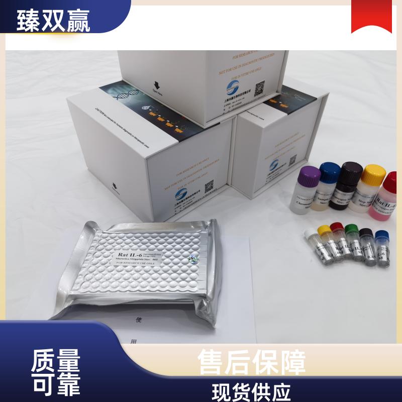 人基质金属蛋白酶8(MMP-8)ELISA试剂盒,Human MMP-8 ELISA KIT