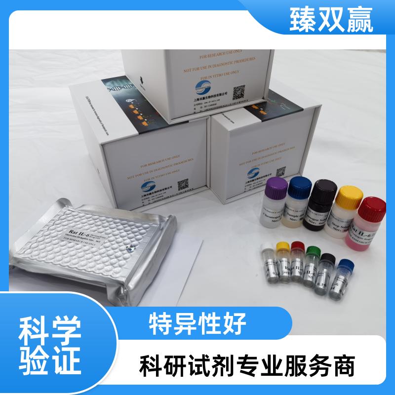 人α-烯醇化酶(ENO1)ELISA试剂盒,Human ENO1 ELISA KIT