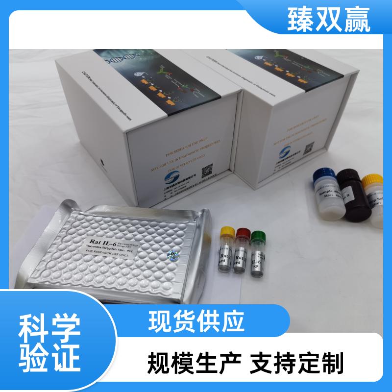 人α-突触核蛋白低聚物(α-SYNO)ELISA试剂盒,Human α-SYNO ELISA KIT