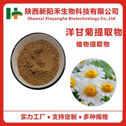 洋甘菊提取物,Chamomile Extract