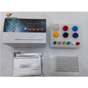 人肾足蛋白(NPHN)ELISA试剂盒,Human NPHN ELISA KIT