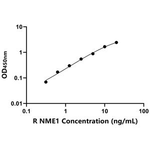 大鼠非转移细胞1表达NM23A蛋白(NME1)ELISA试剂盒,Rat NME1 ELISA KIT