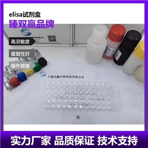 人多核糖核苷酸核苷转移酶1(PNPT1)ELISA试剂盒,Human PNPT1 ELISA KIT