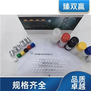 人缓激肽受体B1(BDKRB1)ELISA试剂盒,Human BDKRB1 ELISA KIT