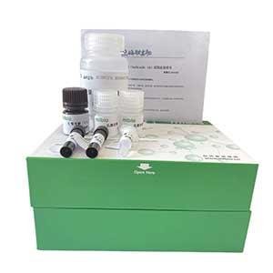 土壤β木糖苷酶(S-β-XYS)测定试剂盒/分光光度法/24样,S-β-XYS ELISA KIT