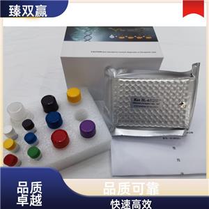 人细胞外基质蛋白1(ECM1)ELISA试剂盒,Human ECM1 ELISA KIT