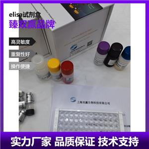 人多配体蛋白聚糖1(SDC-1)ELISA试剂盒,Human SDC-1 ELISA KIT