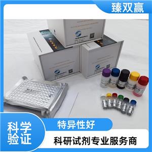 人α-烯醇化酶(ENO1)ELISA试剂盒