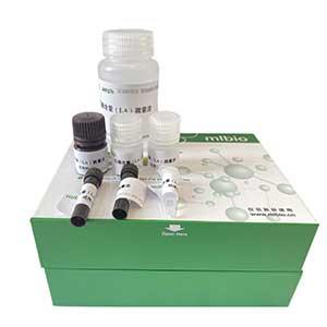 亚铁氧化酶(HP)测定试剂盒/微量法/48样,HP ELISA KIT