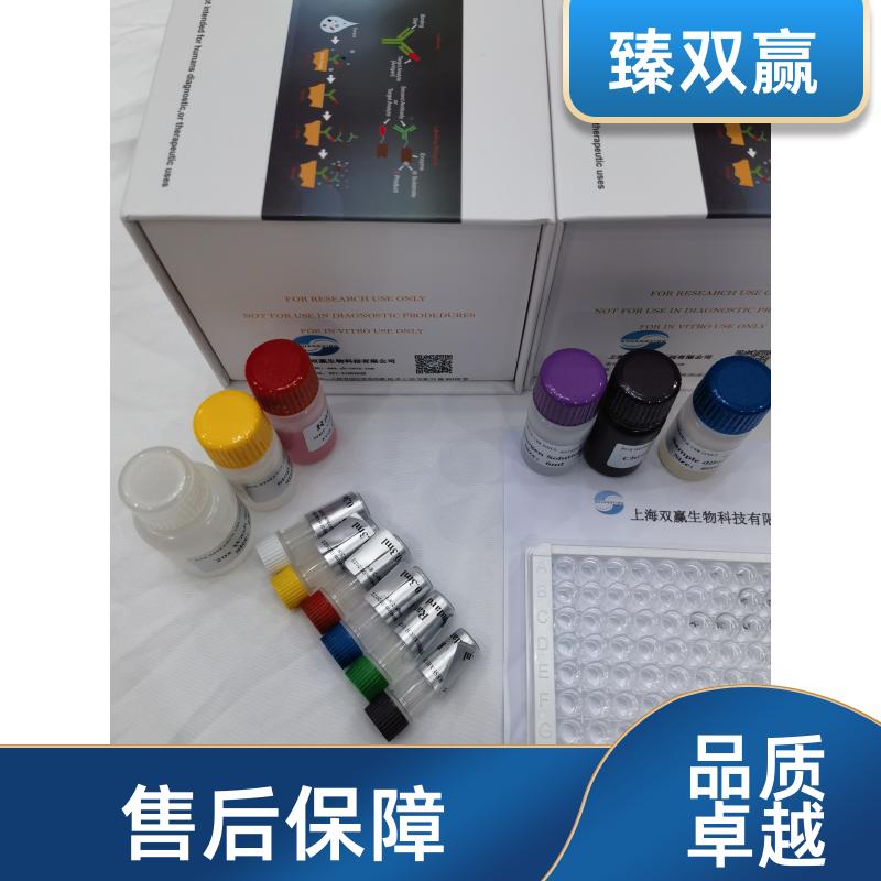 人粘蛋白1(MUC1)ELISA试剂盒,Human MUC1 ELISA KIT