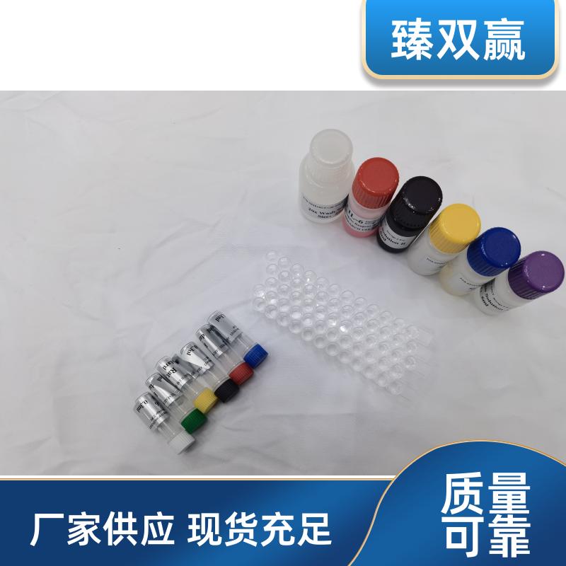 人冷诱导RNA结合蛋白(CIRBP)ELISA试剂盒,Human CIRBP ELISA KIT