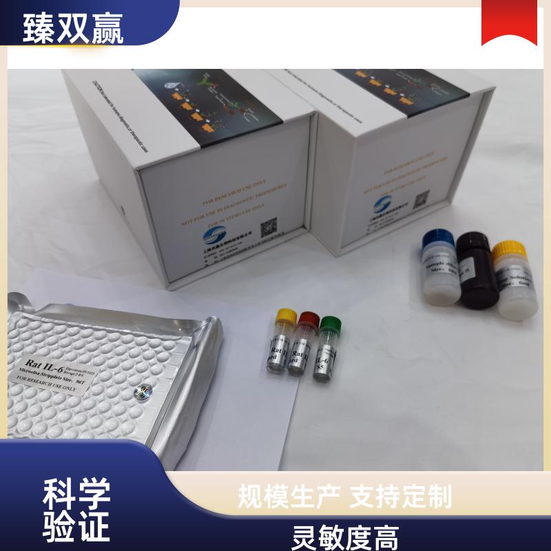 人凝血因子Ⅷ(FⅧ)ELISA试剂盒,Human FⅧ ELISA KIT