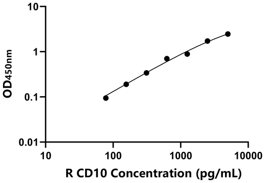 大鼠脑啡肽酶(CD10)ELISA试剂盒,Rat CD10 ELISA KIT