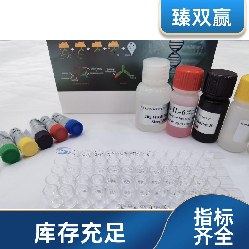 人内质网二硫化物氧化酶1α(ERO1α)ELISA试剂盒,Human ERO1α ELISA KIT