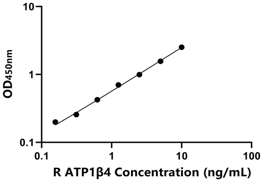 大鼠钠/钾离子转运ATP酶β4肽(ATP1β4)ELISA试剂盒,Rat ATP1β4 ELISA KIT