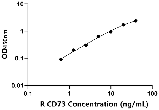 大鼠CD73分子(CD73)ELISA试剂盒,Rat CD73 ELISA KIT