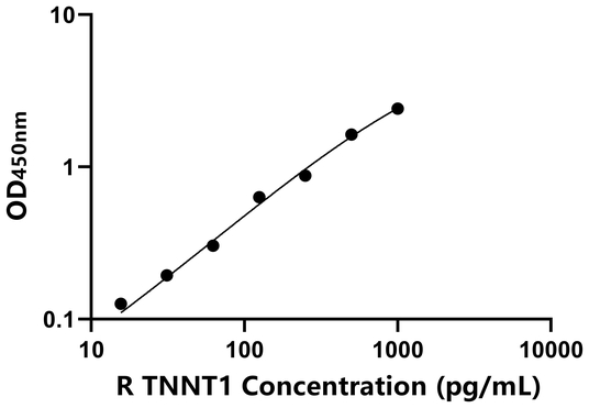 大鼠骨骼肌慢肌肌钙蛋白T(TNNT1)ELISA试剂盒,Rat TNNT1 ELISA KIT