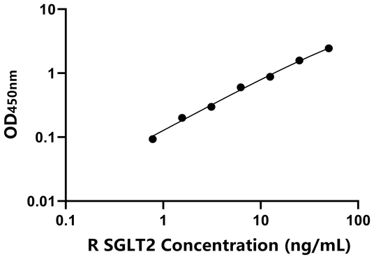 大鼠钠/葡萄糖协同转运蛋白2(SGLT2)ELISA试剂盒,Rat SGLT2 ELISA KIT