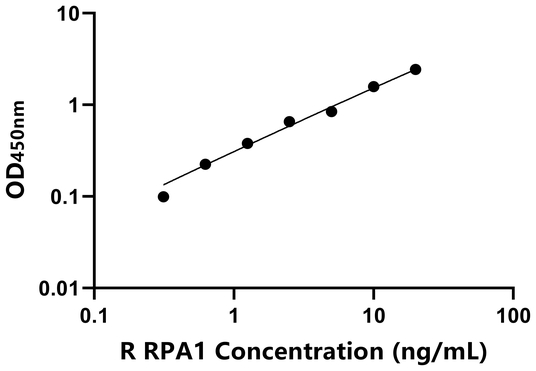 大鼠复制蛋白A1(RPA1)ELISA试剂盒,Rat RPA1 ELISA KIT