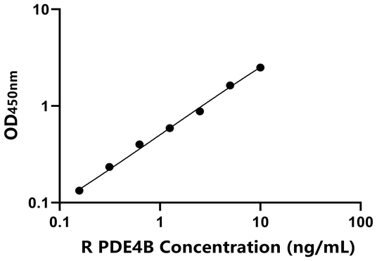 大鼠磷酸二酯酶4B(PDE4B)ELISA试剂盒,Rat PDE4B ELISA KIT