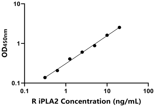 大鼠钙非依赖性磷脂酶A2(iPLA2)ELISA试剂盒,Rat iPLA2 ELISA KIT