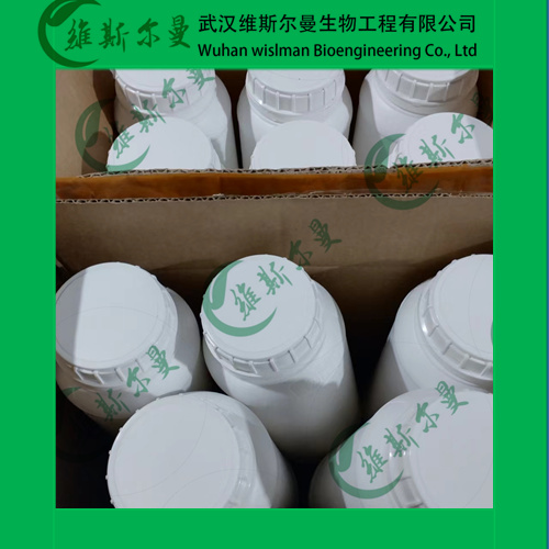 改性制得的低熔点琼脂糖,Agarose