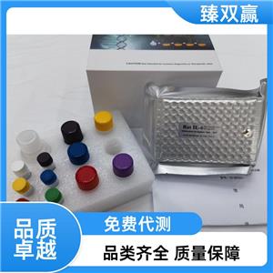 人窖蛋白(CAV1)ELISA试剂盒,Human CAV1 ELISA KIT