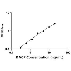 大鼠含缬酪肽蛋白(VCP)ELISA试剂盒,Rat VCP ELISA KIT