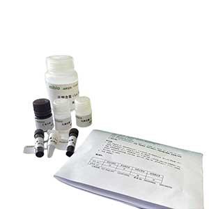 总胆红素(TBIL)(化学氧化法)含量测定试剂盒微板法/96样,TBIL ELISA KIT