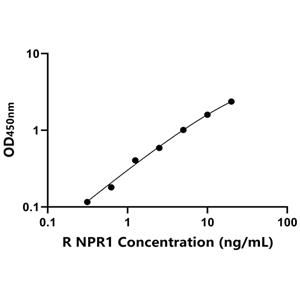 NPR1 ELISA KIT / 大鼠钠尿肽受体1 ELISA试剂盒  