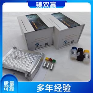 人内质网二硫化物氧化酶1α(ERO1α)ELISA试剂盒,Human ERO1α ELISA KIT