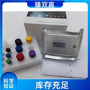 人去乙酰化酶Sirtuin-2(SIRT2)ELISA试剂盒,Human SIRT2 ELISA KIT