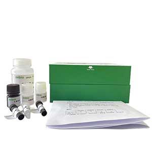 磷脂(PLIP)(氧化酶法)含量测定试剂盒微板法/48样,PLIP ELISA KIT