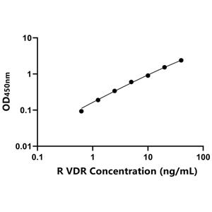 VDR ELISA KIT / 大鼠维生素D受体 ELISA试剂盒