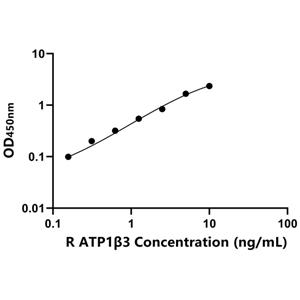 ATP1β3 ELISA KIT / 大鼠钠/钾离子转运ATP酶β3肽 ELISA试剂盒