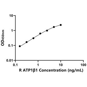 ATP1β1 ELISA KIT / 大鼠钠/钾离子转运ATP酶β1肽 ELISA试剂盒