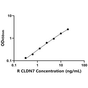 大鼠封闭蛋白7(CLDN7)ELISA试剂盒,Rat CLDN7 ELISA KIT