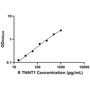 大鼠骨骼肌慢肌肌钙蛋白T(TNNT1)ELISA试剂盒,Rat TNNT1 ELISA KIT